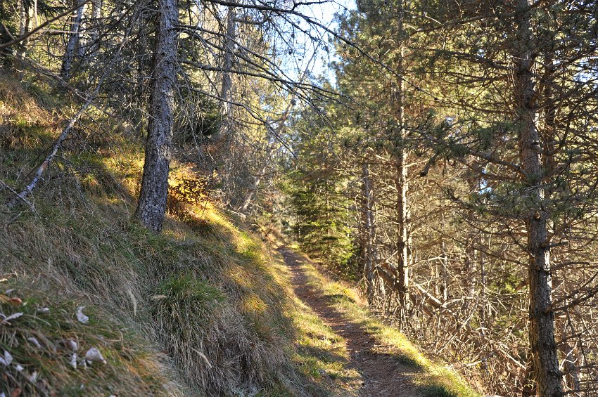 03 - Zorzone - Cima Menna.JPG